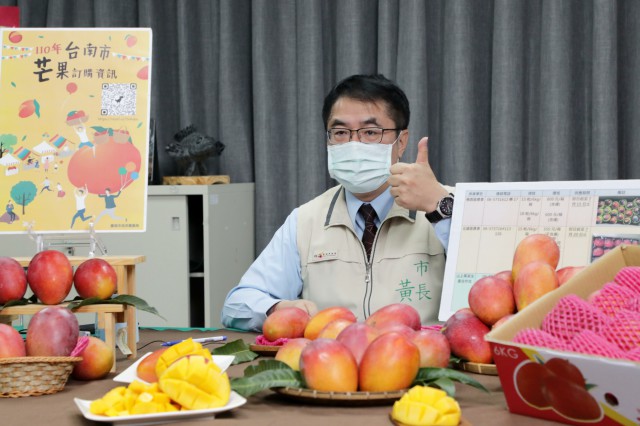 台南芒果大盛產  黃偉哲歡迎全國朋友一起來訂購 以行動支持芒果農