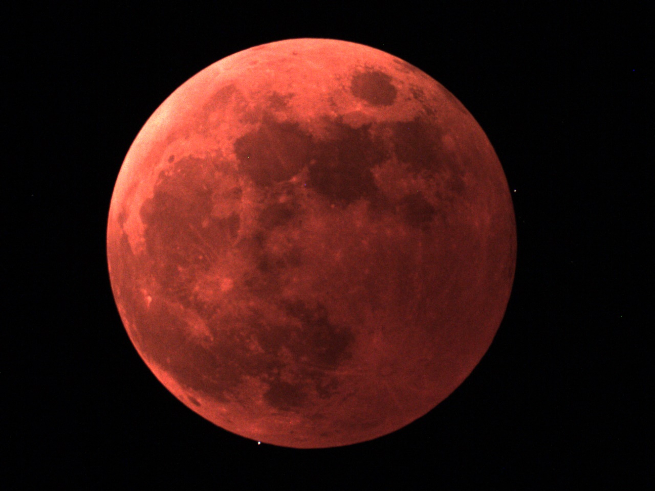 「血海狸月&月掩天王星」 南市天文館直播逾80萬人次觀看