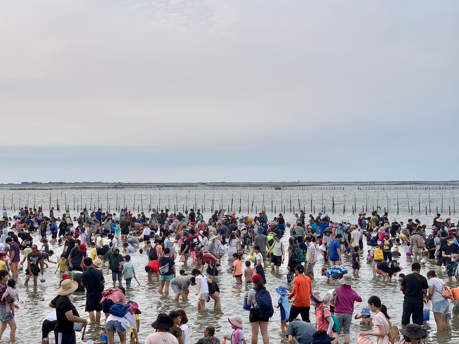 超過三千人潟湖挖文蛤同歡樂！