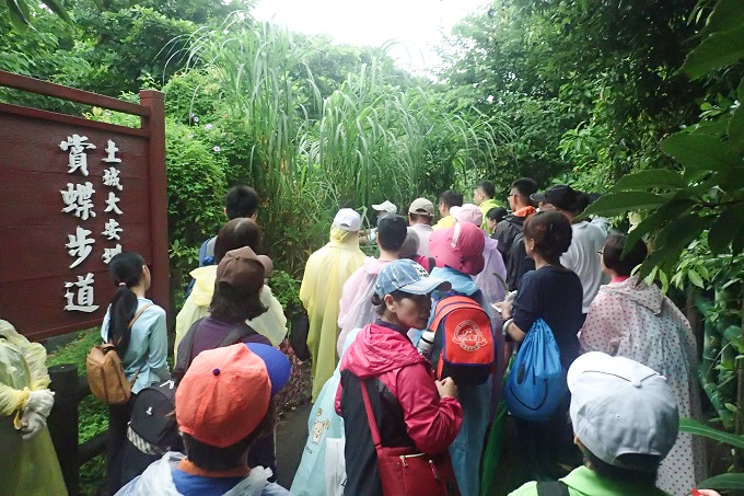 特色景點大安圳賞蝶步道被颱風破壞   60名家庭志工上山整理花木