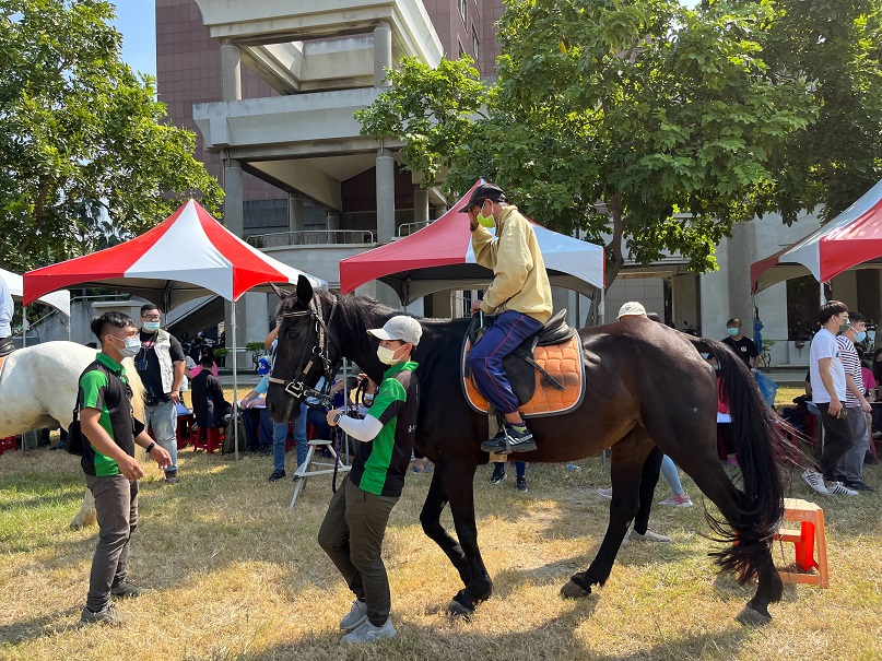南市社會局辦理身障者馬匹騎乘活動 以正向多元方式促進互動參與